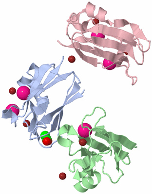 Image Biological Unit 5