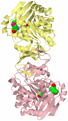 Image Biological Unit 2