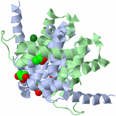 Image Biological Unit 1