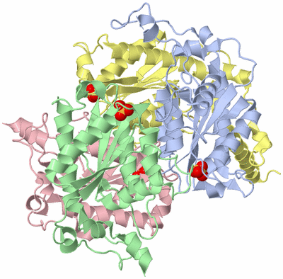 Image Biological Unit 1