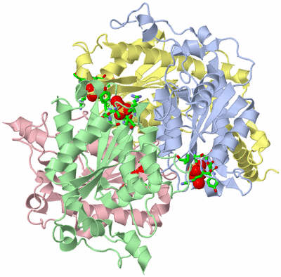 Image Biol. Unit 1 - sites