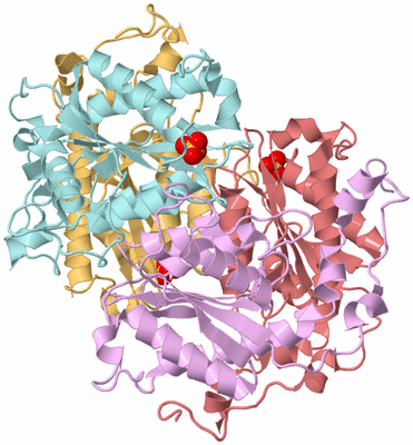 Image Biological Unit 2