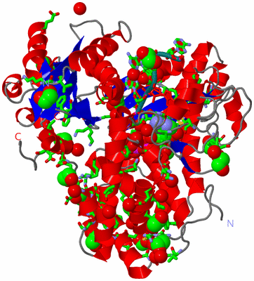 Image Asym./Biol. Unit - sites