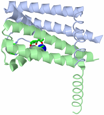 Image Asym. Unit - sites