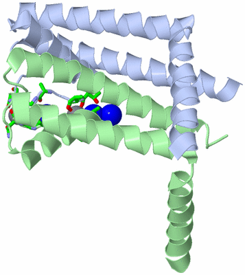 Image Asym. Unit - sites