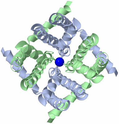 Image Biological Unit 1