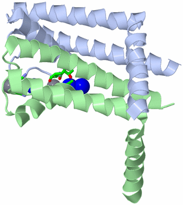 Image Asym. Unit - sites