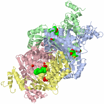 Image Asym./Biol. Unit