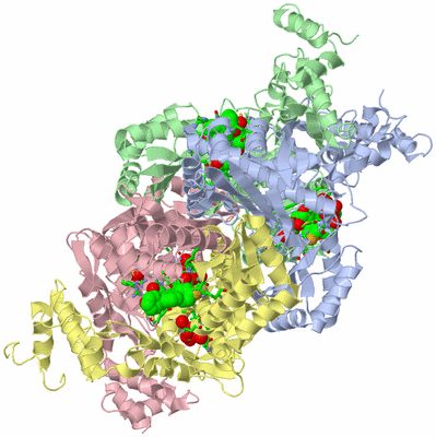 Image Asym./Biol. Unit - sites