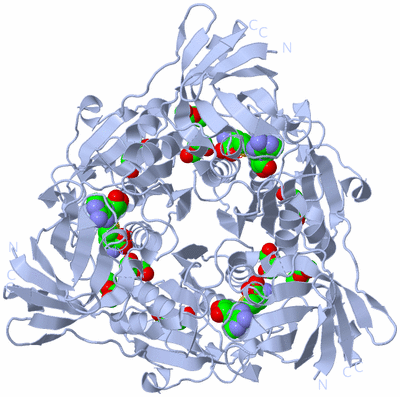 Image Biological Unit 1