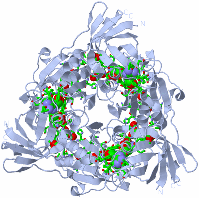 Image Biol. Unit 1 - sites