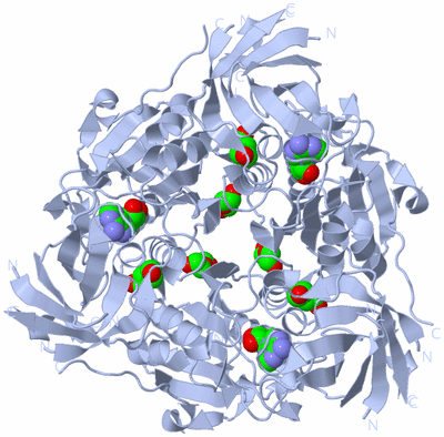 Image Biological Unit 1