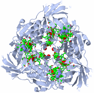 Image Biol. Unit 1 - sites