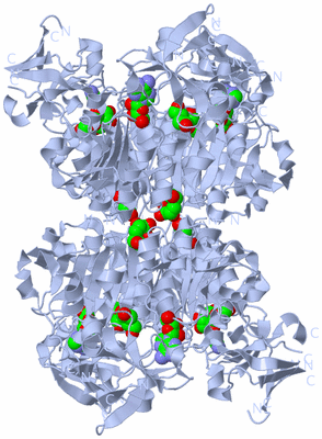 Image Biological Unit 2