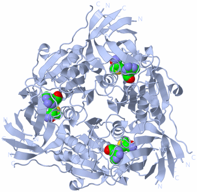 Image Biological Unit 1