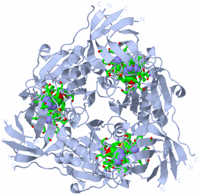 Image Biol. Unit 1 - sites