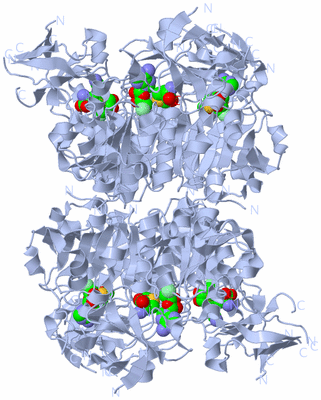 Image Biological Unit 2