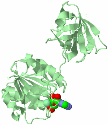 Image Biological Unit 2