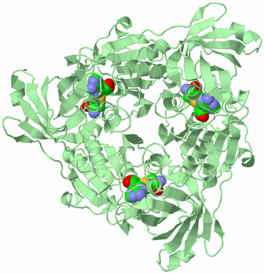 Image Biological Unit 3