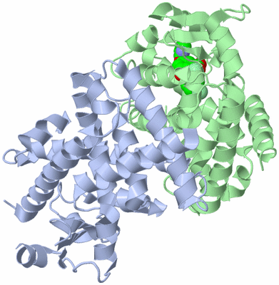 Image Asym./Biol. Unit