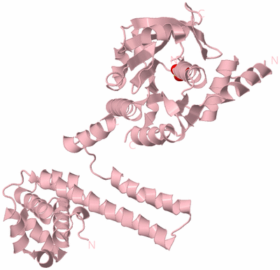 Image Biological Unit 3