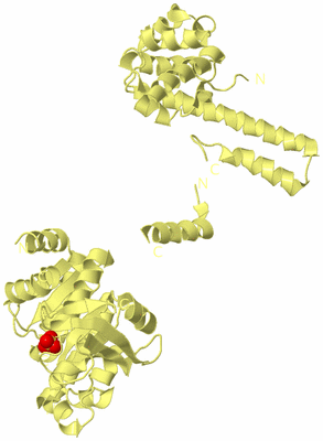 Image Biological Unit 4