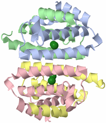 Image Asym./Biol. Unit