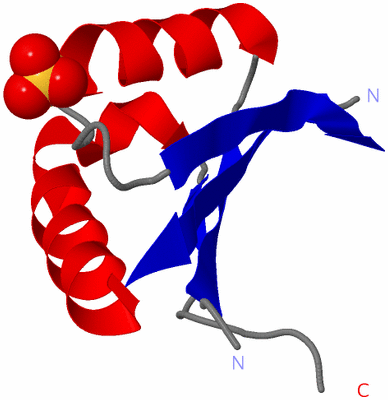 Image Asymmetric Unit