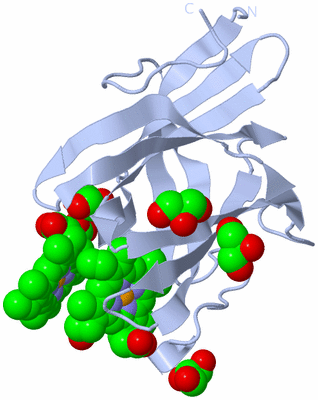 Image Biological Unit 1