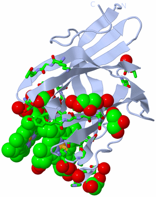 Image Biol. Unit 1 - sites