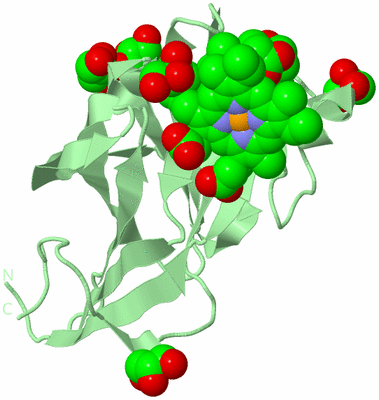 Image Biological Unit 2