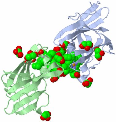 Image Biological Unit 3