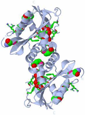 Image Biol. Unit 1 - sites