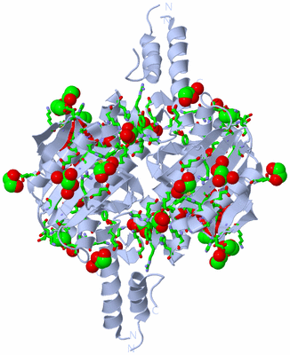 Image Biol. Unit 1 - sites