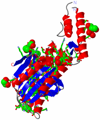 Image Asym. Unit - sites
