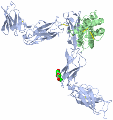 Image Biological Unit 1