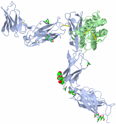 Image Biol. Unit 1 - sites