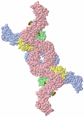 Image Biological Unit 3