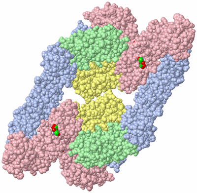 Image Biological Unit 4