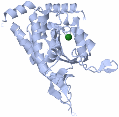 Image Biological Unit 1