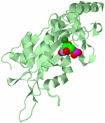 Image Biological Unit 2