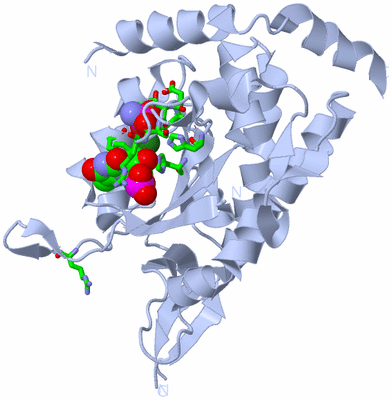 Image Biol. Unit 1 - sites