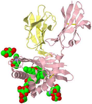 Image Biological Unit 2