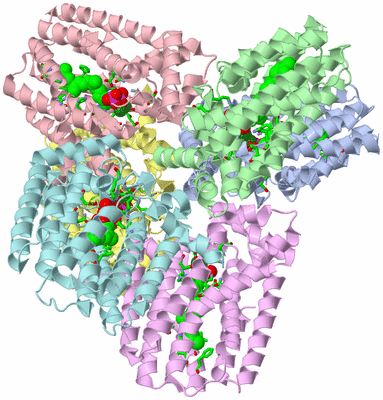 Image Asym./Biol. Unit - sites