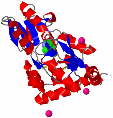 Image Asym./Biol. Unit