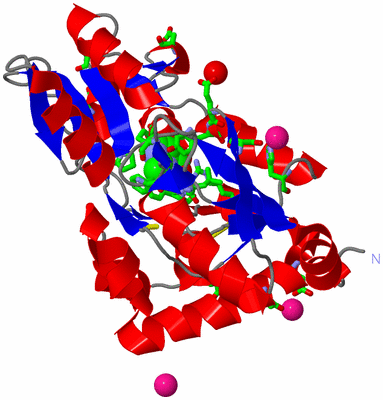 Image Asym./Biol. Unit - sites