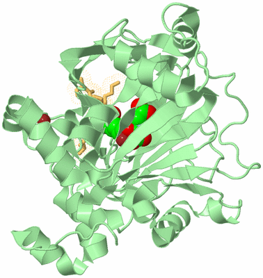 Image Biological Unit 2