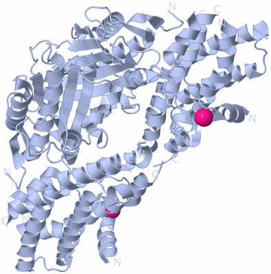 Image Biological Unit 1