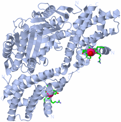 Image Biol. Unit 1 - sites