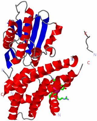 Image Asym. Unit - sites